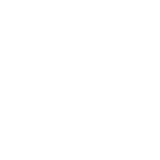 WSF Logo